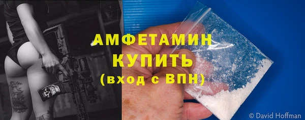 ПСИЛОЦИБИНОВЫЕ ГРИБЫ Бородино