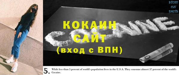 ПСИЛОЦИБИНОВЫЕ ГРИБЫ Бородино