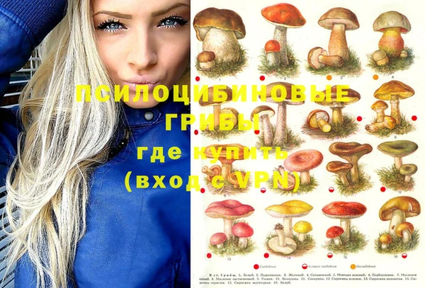ПСИЛОЦИБИНОВЫЕ ГРИБЫ Бородино