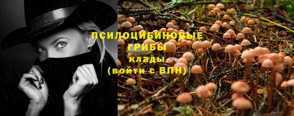 ПСИЛОЦИБИНОВЫЕ ГРИБЫ Бородино