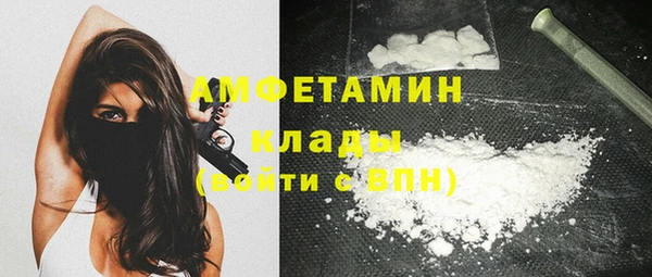 ПСИЛОЦИБИНОВЫЕ ГРИБЫ Бородино