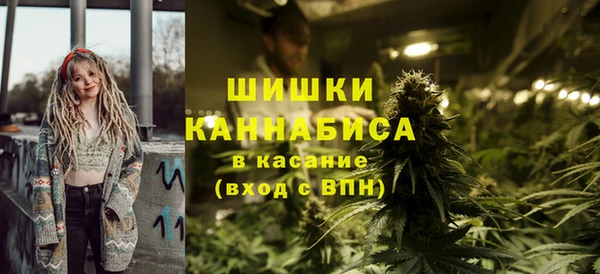 ПСИЛОЦИБИНОВЫЕ ГРИБЫ Бородино