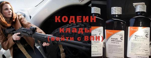 ПСИЛОЦИБИНОВЫЕ ГРИБЫ Бородино
